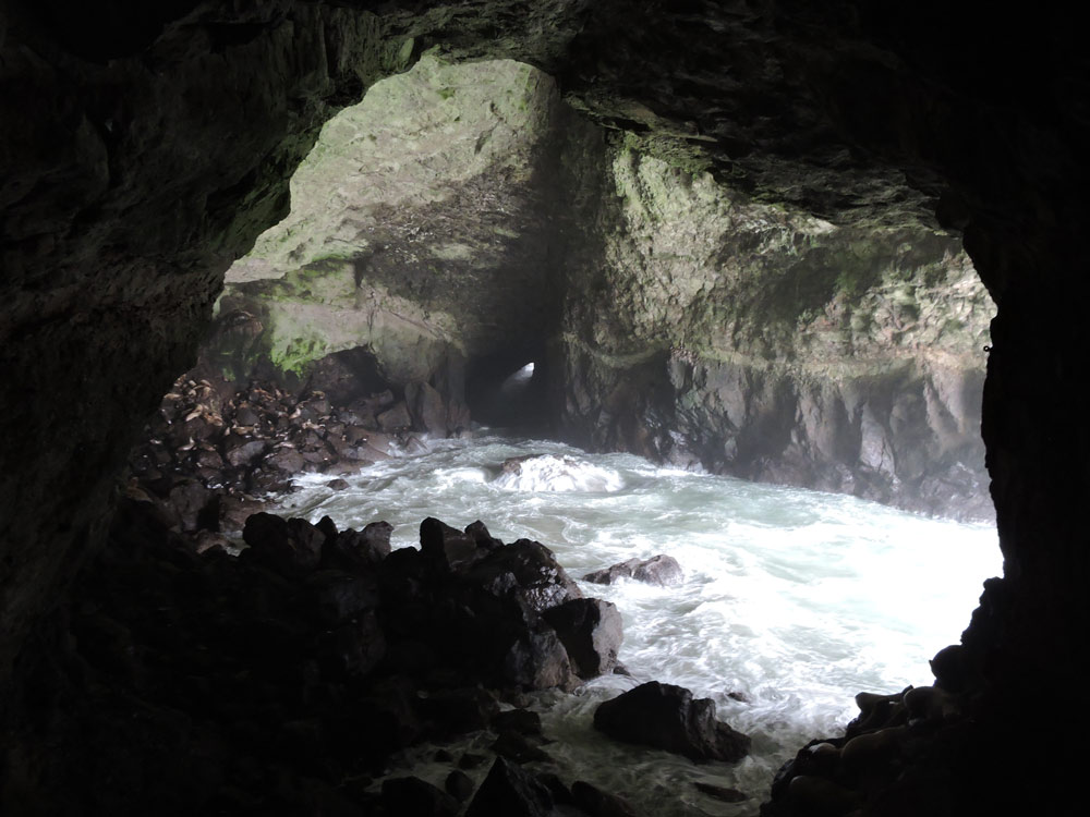Sea lion cave - Oregon